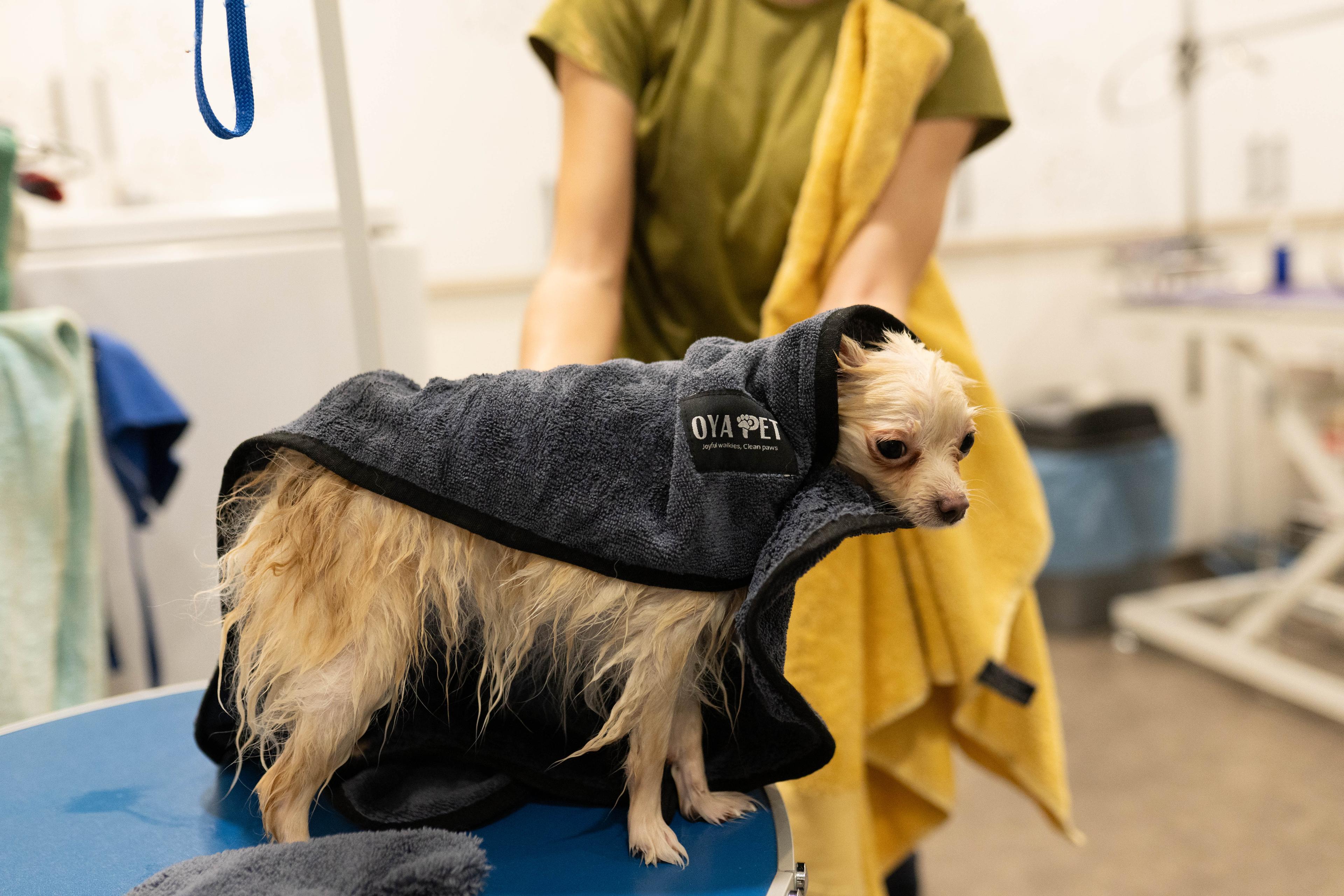 Discover MicroLux & MicroPerformance Dog Towels