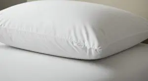 Hotel Pillow and Mattress Protectors